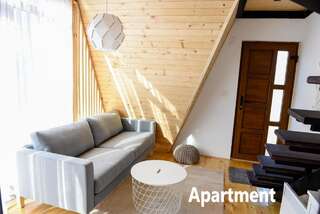 Апартаменты Lazar&Mila Apartments Жабляк Апартаменты-11